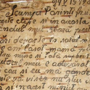 O scrisoare de pe front scrisă pe scoarță de mesteacăn – exponatul săptămânii la Muzeul de Istorie și Arheologie