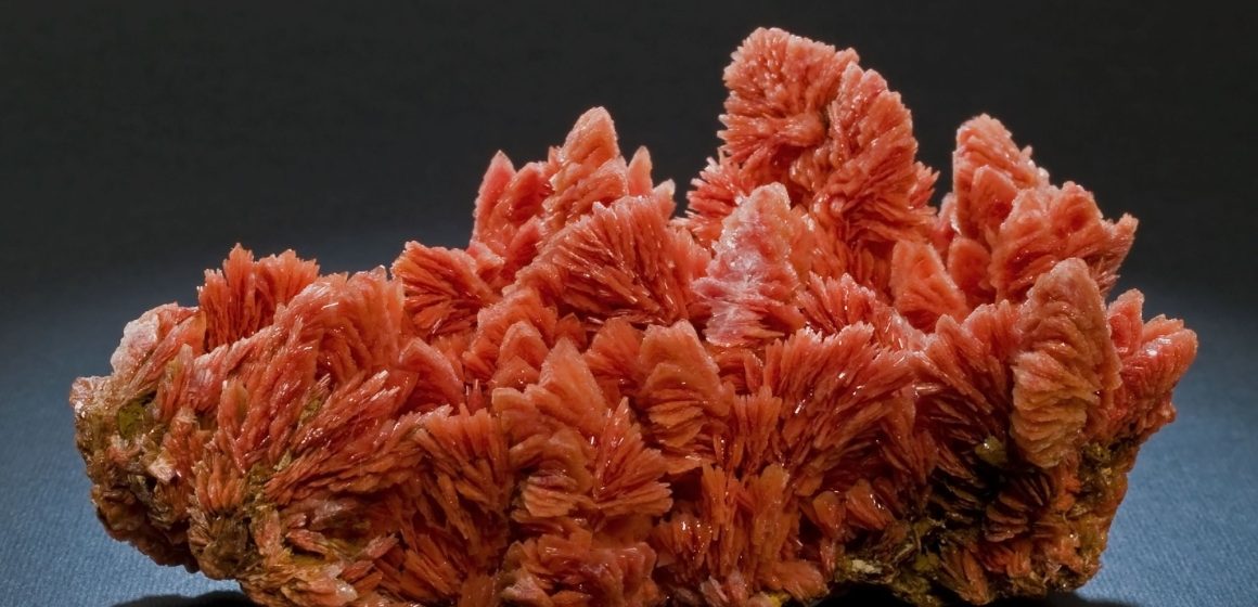 O ”floare” roșie, exponatul săptămânii la Mineralogie O ”floare” roșie, exponatul săptămânii la Mineralogie