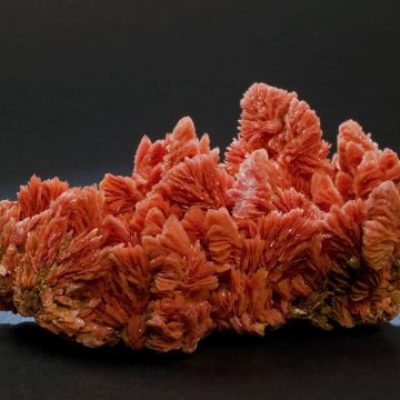 O ”floare” roșie, exponatul săptămânii la Mineralogie