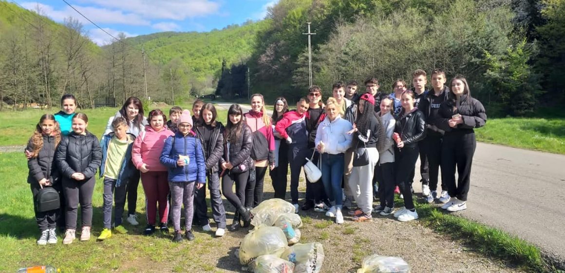 Elevii Școlii Gimnaziale Baia Sprie au ecologizat zona către Valea Chiuzbăii