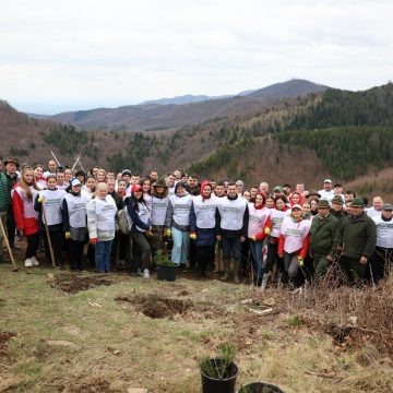 A treia ediție a Campaniei “Împădurim Maramureșul” a avut loc astăzi la Ocolul Silvic Târgu Lăpuș