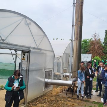 Concursul ”Agricultura – pasiunea mea” reunește la Seini elevi din 8 licee agricole din țară