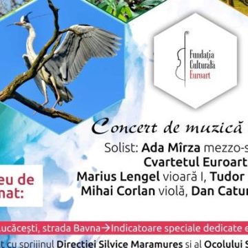 Pădurea Bavna ne invită la ea acasă Pădurea Bavna ne invită la ea acasă