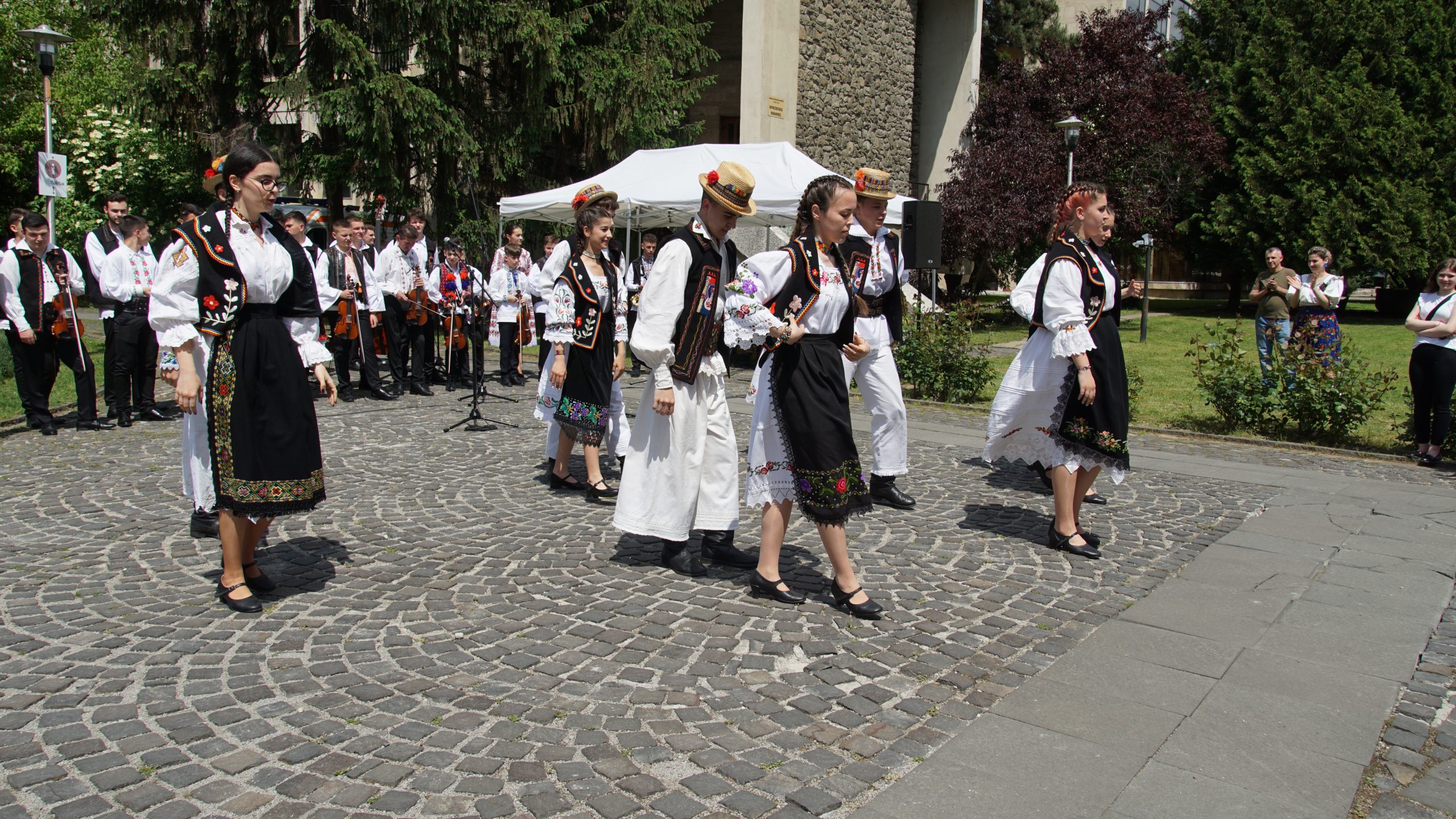 DSC00778 DSC00778
