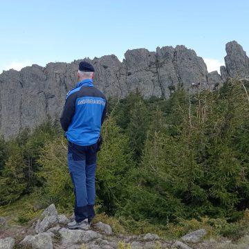 Recomandările jandarmilor maramureşeni pentru a se evita atacurile urșilor