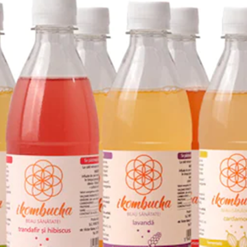 Kombucha – Prezentare generală Kombucha – Prezentare generală