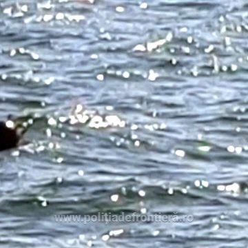 Mină descoperită în Marea Neagră Mină descoperită în Marea Neagră