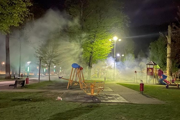 Prima etapă a acțiunilor de dezinsecție Prima etapă a acțiunilor de dezinsecție