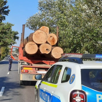 Controale privind transportul de lemne Controale privind transportul de lemne