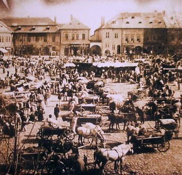 Baia Mare descrisă de un profesor universitar din București în 1924