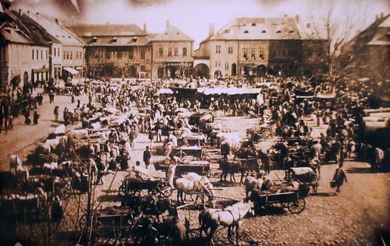 Baia Mare descrisă de un profesor universitar din București în 1924 Baia Mare descrisă de un profesor universitar din București în 1924