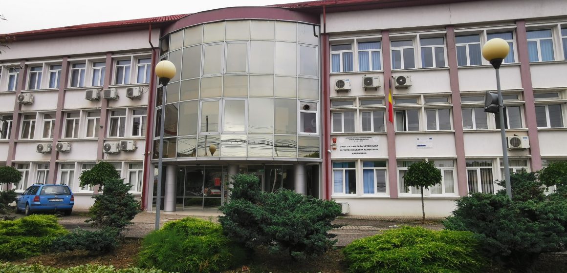 Video | Campania DSVSA Maramureș de realizare a statusului de tuberculoză bovină este la jumătate