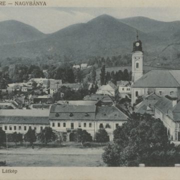 Baia Mare în lupta pentru a deveni reședință de județ, articol din 1925