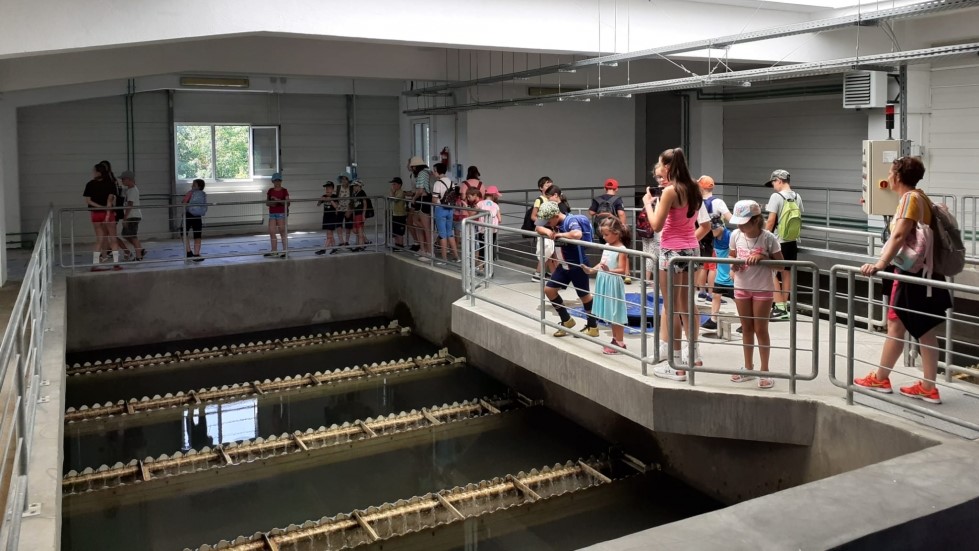 Vizitarea stației de tratare a apei – parte a Taberei de Vară de la Liceului cu Program Sportiv Baia Mare Vizitarea stației de tratare a apei – parte a Taberei de Vară de la Liceului cu Program Sportiv Baia Mare
