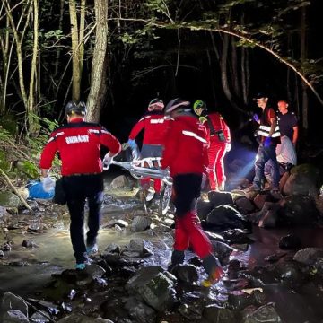 A plecat la cules de ciuperci și a fost găsit mort A plecat la cules de ciuperci și a fost găsit mort