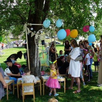 Consiliul Județean Maramureș a votat proiecte pentru activități pentru tineret și culturale
