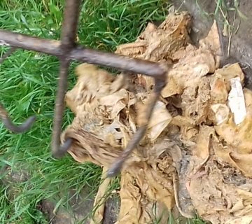 Vital | Prevenirea colmatării rețelelor de canalizare Vital | Prevenirea colmatării rețelelor de canalizare