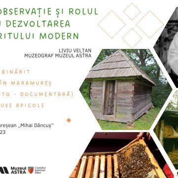 Stupul de observație și rolul lui în dezvoltarea albinăritului modern la Muzeul Satului Maramureșean