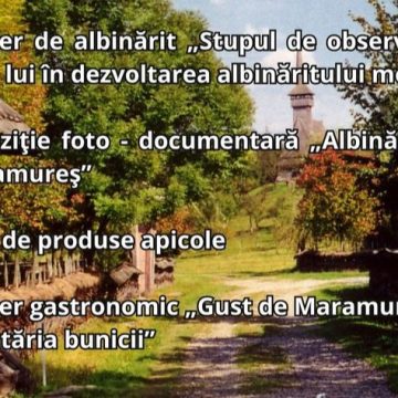 Zilele Europene ale Patrimoniului la Muzeul satului maramureşean