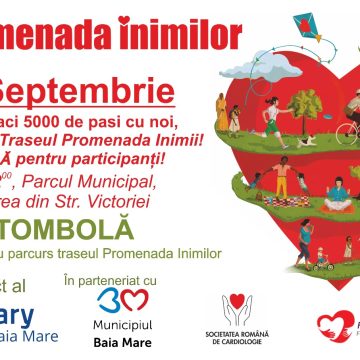 Invitație la mișcare Invitație la mișcare