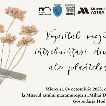Lecții de vopsit vegetal Lecții de vopsit vegetal
