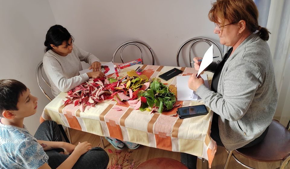 Frumusețile și culorile toamnei prin ochii copiilor de la casele de tip familial din cadrul DGASPC Maramureș
