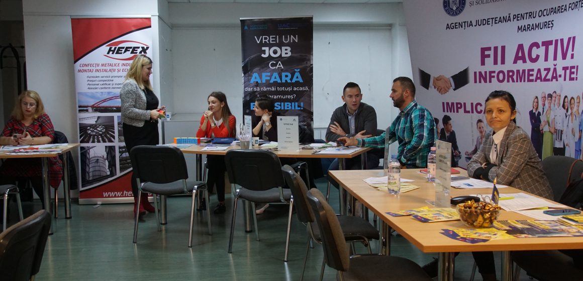 Video | 357 de posturi oferite la Bursa locurilor de muncă organizată de AJOFM Maramureș
