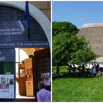Două proiecte importante pentru viața culturală maramureșeană adoptate în ședința ordinară a Consiliului Județean Maramureș
