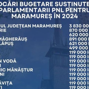 Călin Bota, PNL: Am reușit să aducem Maramureșul în top trei județe care primesc alocare bugetară în plus
