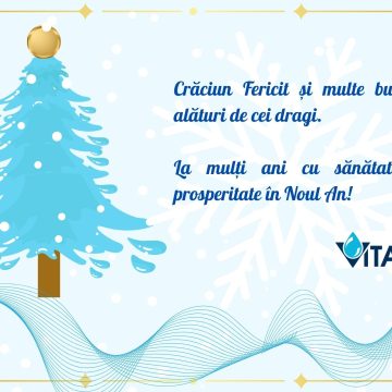 Vital | Programul de lucru și zile libere în perioada 22 decembrie 2023 – 2 ianuarie 2024