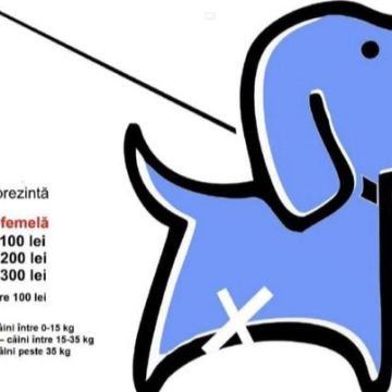 SUBVENȚII: S-a dat drumul la programul de acordare a unei subvenţii pentru sterilizarea câinilor în Baia Mare SUBVENȚII: S-a dat drumul la programul de acordare a unei subvenţii pentru sterilizarea câinilor în Baia Mare