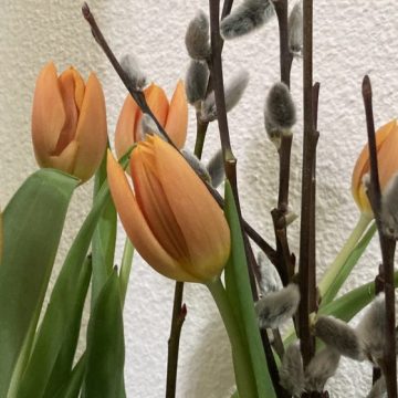 DUMINICA FLORIILOR: Intrarea Domnului în Ierusalim