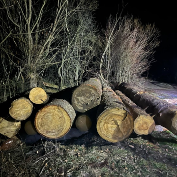 CONTROALE: Polițiștii au confiscat peste 21 de metri cubi de lemne CONTROALE: Polițiștii au confiscat peste 21 de metri cubi de lemne