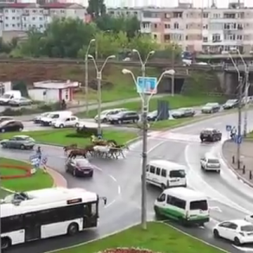 SURPRIZĂ: A vrut să-și impresioneze soția, dar a fost întrerupt de jandarmi