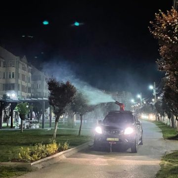 SIGHET: Acţiune de dezinsecţie și deratizare SIGHET: Acţiune de dezinsecţie și deratizare
