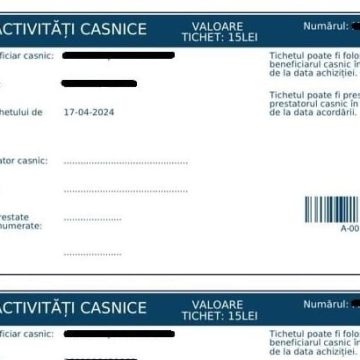 NOUTATE PE PIAȚA MUNCII: Persoanele fizice pot angaja şi plăti legal personal pentru activităţile casnice