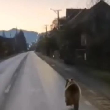 URS FILMAT pe DN18 în Moisei