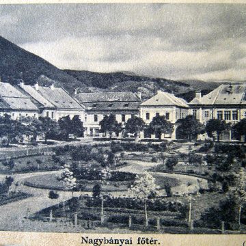 FOTOGRAFIA VERSUS MEMORIA ISTORIEI: Orașul Baia Mare în perioada 1940-1960