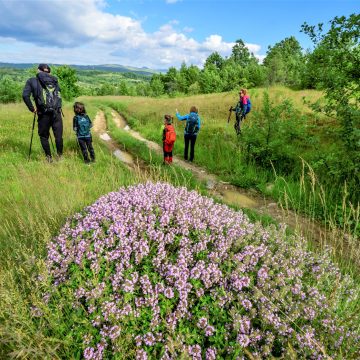 ECO MARAMUREȘ: Ariile naturale protejate aduse în atenția comunităților