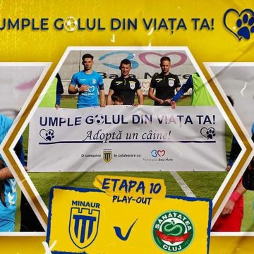 FOTBAL: Meci caritabil al Minaurului pentru sprijinirea Adăpostului Public de Câini din Baia Mare