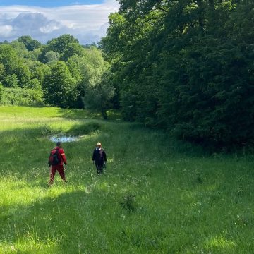 SALVAMONT: Acțiune de salvare a unui septuagenar rătăcit în pădure SALVAMONT: Acțiune de salvare a unui septuagenar rătăcit în pădure