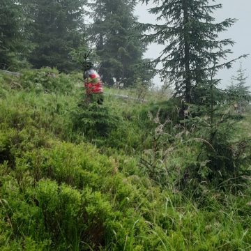 SALVAMONT MARAMUREȘ: Acțiune de salvare, târziu în noapte SALVAMONT MARAMUREȘ: Acțiune de salvare, târziu în noapte