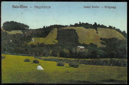 SCRISORI DIN BAIA MARE, din 18 iulie 1925 – Viața este mai ieftină decât în restul Ardealului, un oraș sortit să atragă mii de vizitatori SCRISORI DIN BAIA MARE, din 18 iulie 1925 – Viața este mai ieftină decât în restul Ardealului, un oraș sortit să atragă mii de vizitatori