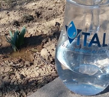 VITAL: Utilizați rațional apa, nu o irosiți ! VITAL: Utilizați rațional apa, nu o irosiți !
