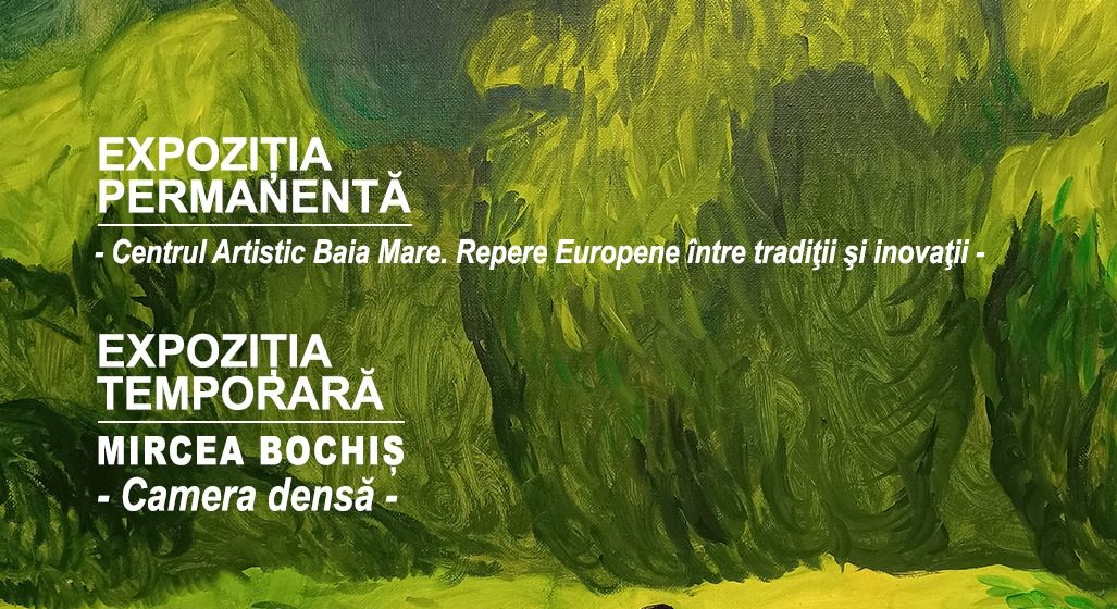 MUZEUL JUDEȚEAN DE ARTĂ deschis pentru vizitare în 15 august
