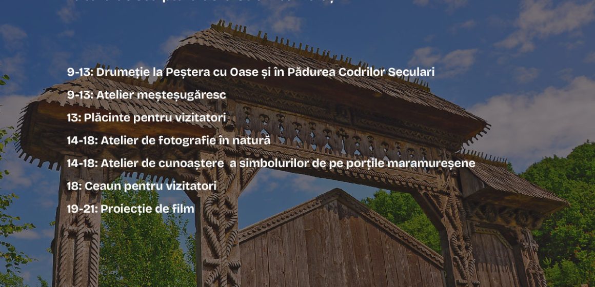 TABĂRĂ DE SCULPTURĂ la Strâmbu Băiuț TABĂRĂ DE SCULPTURĂ la Strâmbu Băiuț