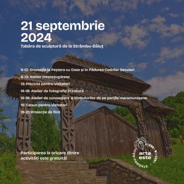 TABĂRĂ DE SCULPTURĂ la Strâmbu Băiuț