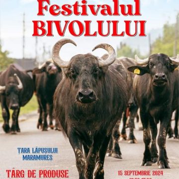 FESTIVALUL BIVOLULUI la Suciu de Sus