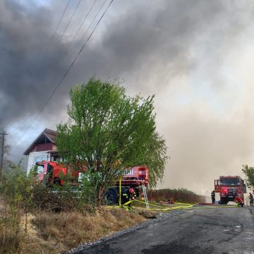 VIDEO: Incendiu de amploare în Maramureș VIDEO: Incendiu de amploare în Maramureș