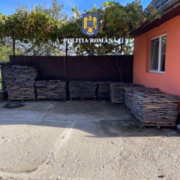 PRINSE ÎN FLAGRANT DELICT DE POLIȚIȘTI în timp ce desfășurau activități infracționale în fondul forestier – rezervație naturală PRINSE ÎN FLAGRANT DELICT DE POLIȚIȘTI în timp ce desfășurau activități infracționale în fondul forestier – rezervație naturală